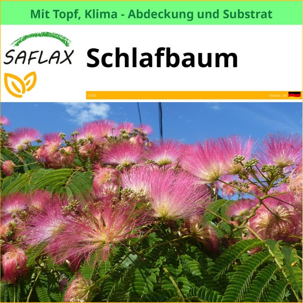 Schlafbaum mit Topf, Klimaabdeckung und Substrat