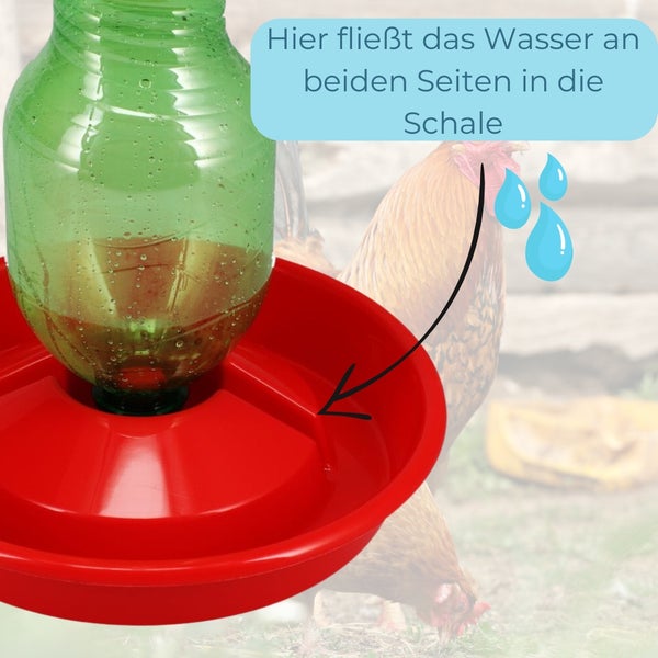 Geflügeltränke mit roter Schale und grüner Wasserflasche