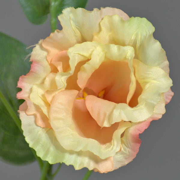 Künstliche Lisianthus Blütenknospen an einem grünen Stiel.