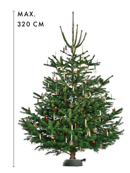 Geschmückter Weihnachtsbaum mit einer maximalen Höhe von 320 Zentimetern.