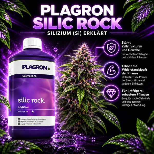 Plagron Silic Rock Pflanzenzusatz zur Stärkung der Zellstrukturen und Erhöhung der Widerstandskraft von Pflanzen.