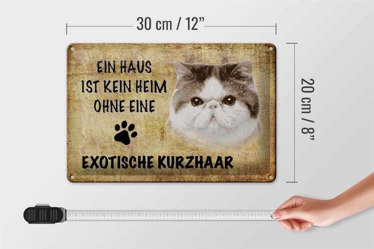 Blechschild Spruch 30x20cm exotische Kurzhaar ohne kein Heim