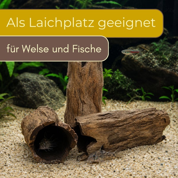 Aquarium-Dekoration aus hohlen Baumstämmen auf Sand, geeignet als Laichplatz für Welse und Fische.