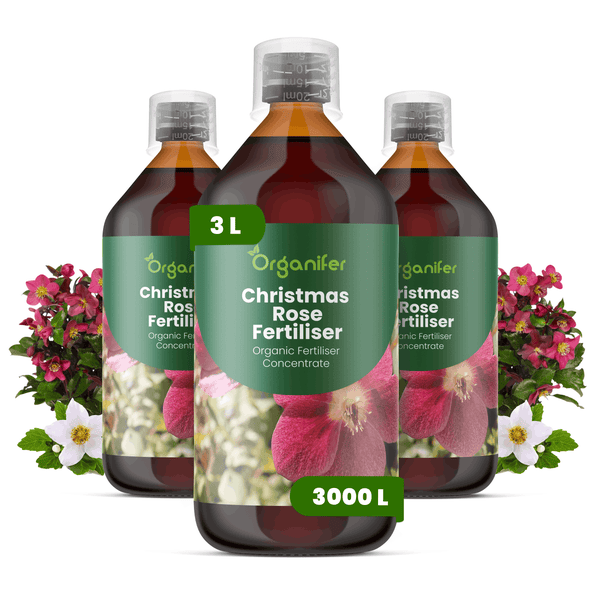 Organifer Christrosendünger, Set mit drei Flaschen Bio-Flüssigdünger-Konzentrat, Gesamtinhalt 3 Liter, ergibt 3000 Liter Düngerlösung.
