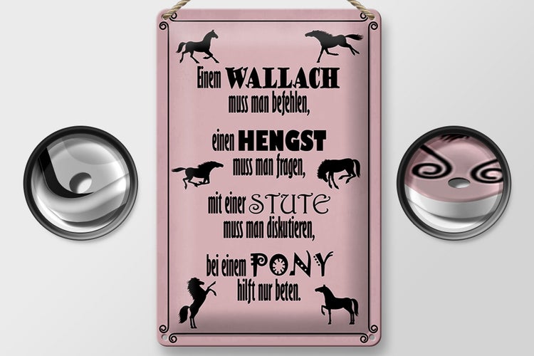 Blechschild Spruch 20x30cm Pferde Wallach Hengst Pony Stute