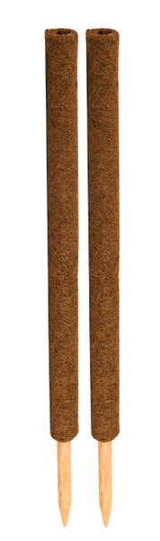 BigDean 2er Set Pflanzstäbe Kokos 80 cm - Monstera Rankhilfe Rankstäbe Stab Moosstäbe Pflanzenstäbe Kokosstäbe für Pflanzen - aus natürlicher Kokosfaser - verlängerbar