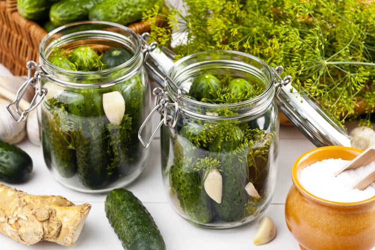 SAFLAX Garden to go - BIO - Gurke - Vorgebirgstraube - Cucumis sativus - 15 Samen - Mit Topf, Klima - Deckel und Anzuchtsubstrat
