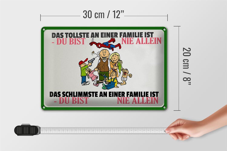 Blechschild Spruch 30x20cm Familie du bist nie allein