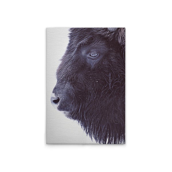 Leinwandbild mit Büffel im Porträt