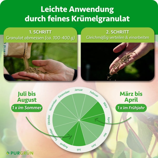 Anleitung zur Anwendung von feinem Krümelgranulat Dünger mit zwei Schritten und saisonalem Düngekalender von Purgrün.