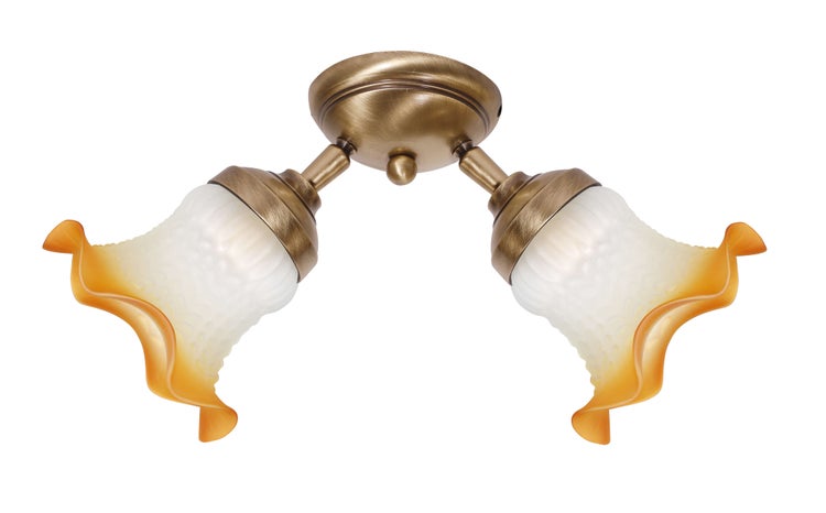 Deckenleuchte mit zwei Lampen und geschwungenen Glasschirmen