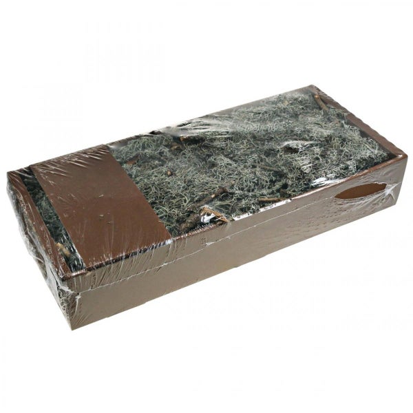 Verpacktes Islandmoos in brauner Pappschachtel