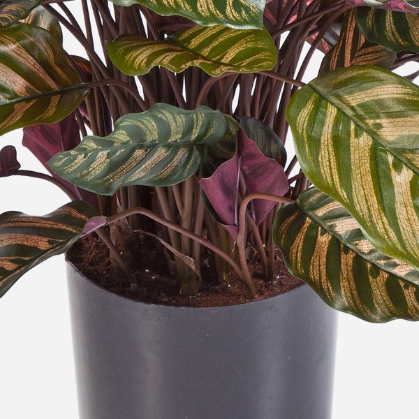 Detailansicht einer künstlichen Grünpflanze mit vielen kleinen, länglichen Blättern aus Kunststoff.