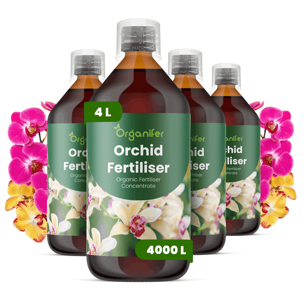 Organifer Orchideendünger Konzentrat, vier Flaschen biologischer Flüssigdünger, 4 Liter, dekoriert mit pinken und gelben Orchideen.