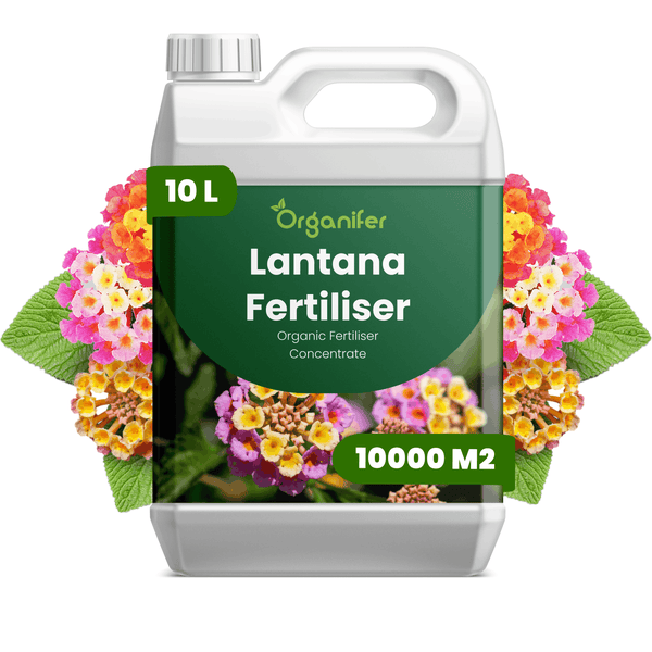 10 Liter Organifer Lantana Dünger Kanister, organisches Konzentrat für 10000 Quadratmeter, Organifer Logo.