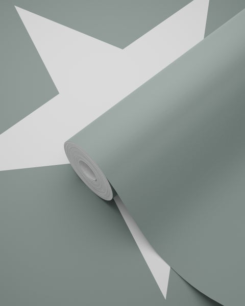 Tapetenrolle mit Sternmuster