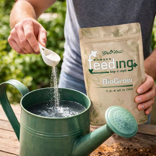 Ein Mann mischt Pulverfutter in eine Gießkanne für die Gartenarbeit.