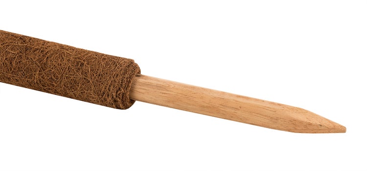 BigDean 2er Set Pflanzstäbe Kokos 110 cm - Monstera Rankhilfe Rankstäbe Stab Moosstäbe Pflanzenstäbe Kokosstäbe für Pflanzen - aus natürlicher Kokosfaser - verlängerbar