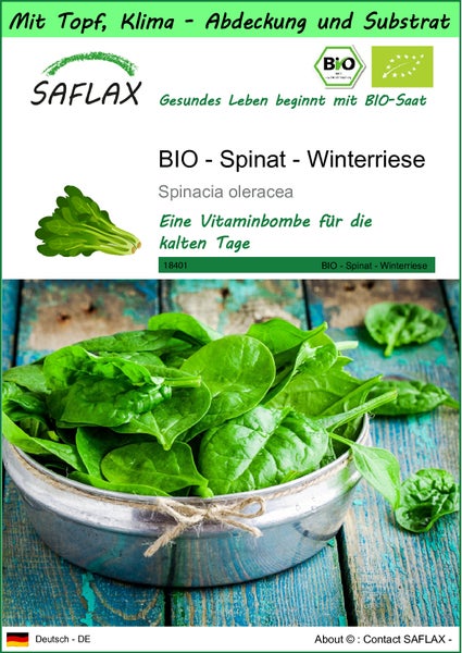 SAFLAX Garden to go - BIO - Spinat - Winterriese - Spinacia oleracea - 250 Samen - Mit Topf, Klima - Deckel und Anzuchtsubstrat