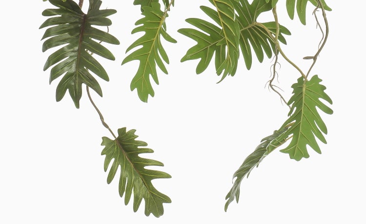 Zwei künstliche Ziergräser in schwarzen Töpfen, eine Pflanze grün-gelb und die andere dunkelrot.