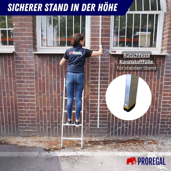 Frau auf einer Leiter beim Reinigen einer Hausfassade, Detailaufnahme der rutschfesten Kunststofffüße