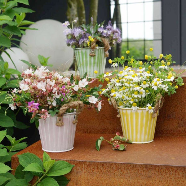 Drei kleine, geriffelte Metallübertöpfe mit Kordelgriffen auf einer rostigen Metalltreppe, bepflanzt mit bunten Wildblumen im Garten.