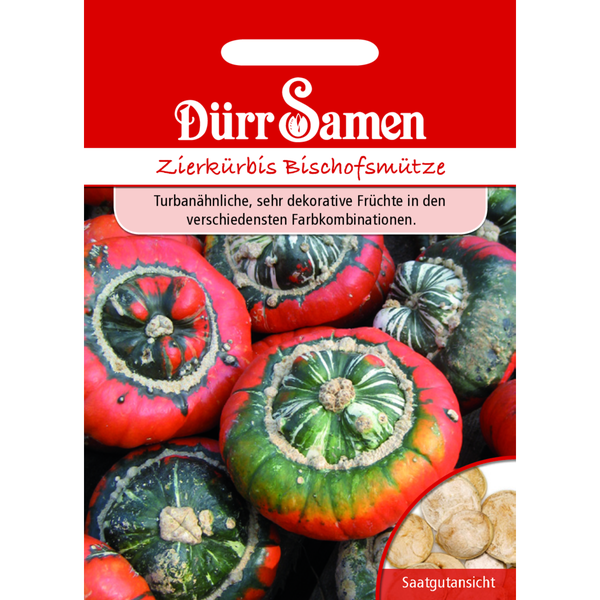 Zierkürbis Bischofsmütze Saatgut von Dürr Samen