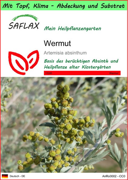SAFLAX Garden to go - Wermut - Artemisia absinthum - 500 Samen - Mit Topf, Klima - Deckel und Anzuchtsubstrat