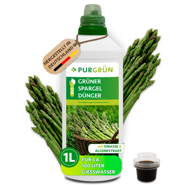 Bio-Flüssigdünger für grünen Spargel von Purgrün, 1 Liter Flasche, mit Vinasse und Algenextrakt, reicht für circa 100 Liter Gießwasser.