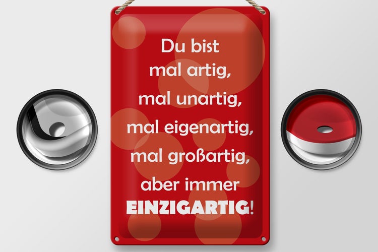 Blechschild Spruch 20x30cm Du bist Einzigartig