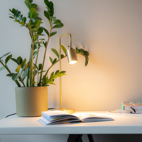 Tisch mit Zimmerpflanze und goldfarbener Schreibtischlampe