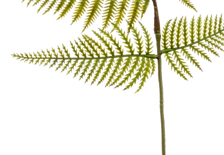 Künstlicher Farnwedel mit fein gegliederten grünen Blättern und einem braunen Stiel.