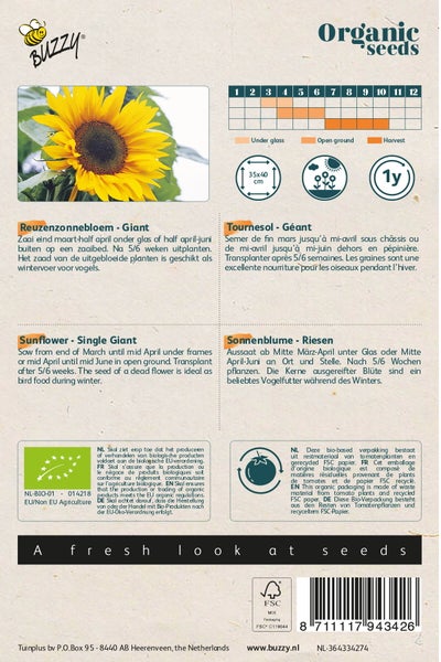 Buzzy Organic Seeds Sonnenblumen Riesensamen Packung