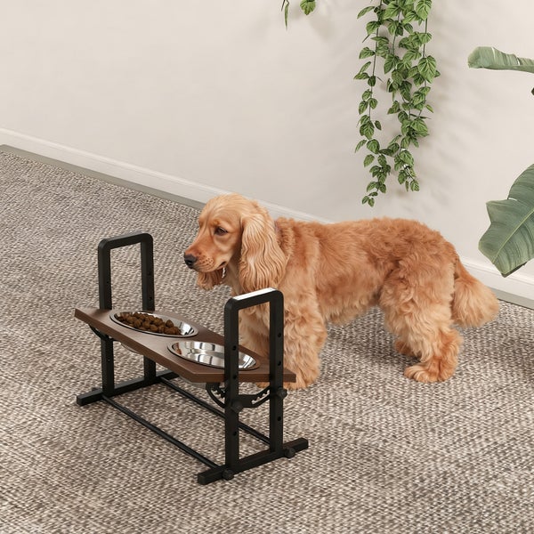 Höhenverstellbare Hundebar aus Metall und Holz mit zwei Edelstahlnäpfen, präsentiert mit einem Hund.