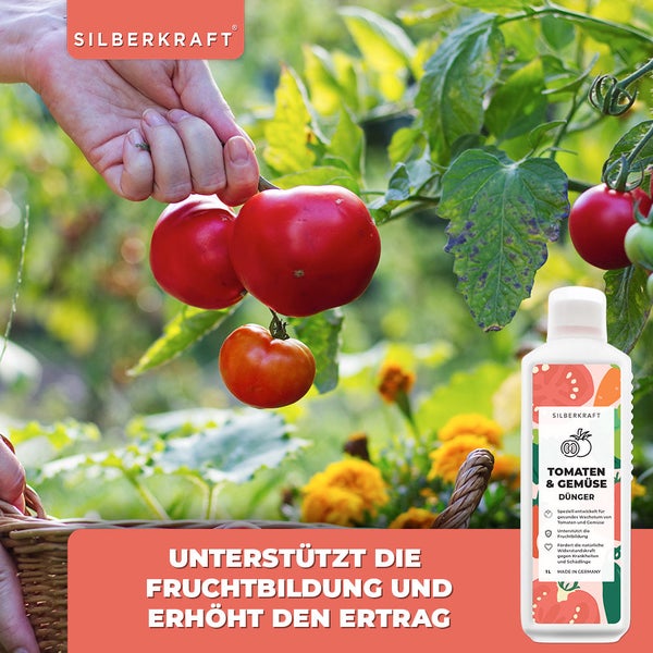 SILBERKRAFT Tomatendünger – Für gesunde Tomaten – NPK Flüssigdünger – 1 Liter