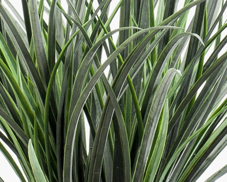 Künstliche Pflanze Philodendron Selloum, detailgetreue Nachbildung mit strukturiertem Stamm und gelappten Blättern.