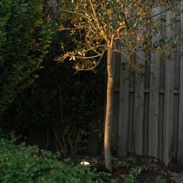 Ein Gartenstrahler beleuchtet einen Baum von unten in einem nächtlichen Garten mit Holzzaun.