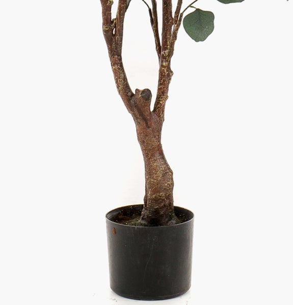 Künstliche Eukalyptuspflanze im schwarzen Kunststofftopf mit verzweigten Ästen und runden Blättern.