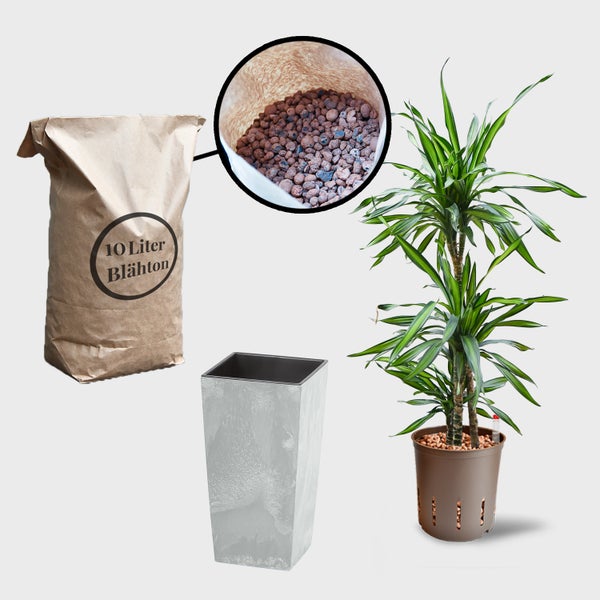 Pflanzenszene mit einem Sack Blähton, einem Pflanzgefäß und einer Grünpflanze
