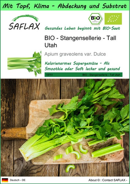 SAFLAX Garden to go - BIO - Stangensellerie - Tall Utah - Apium graveolens var. Dulce - 500 Samen - Mit Topf, Klima - Deckel und Anzuchtsubstrat