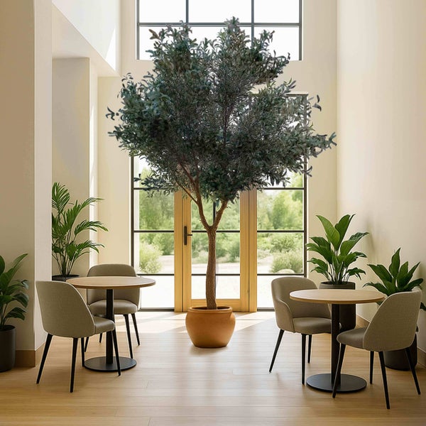 Großer künstlicher Olivenbaum im Terrakotta-Topf in einem hellen, modern eingerichteten Raum mit zwei runden Tischen und grauen Stühlen.