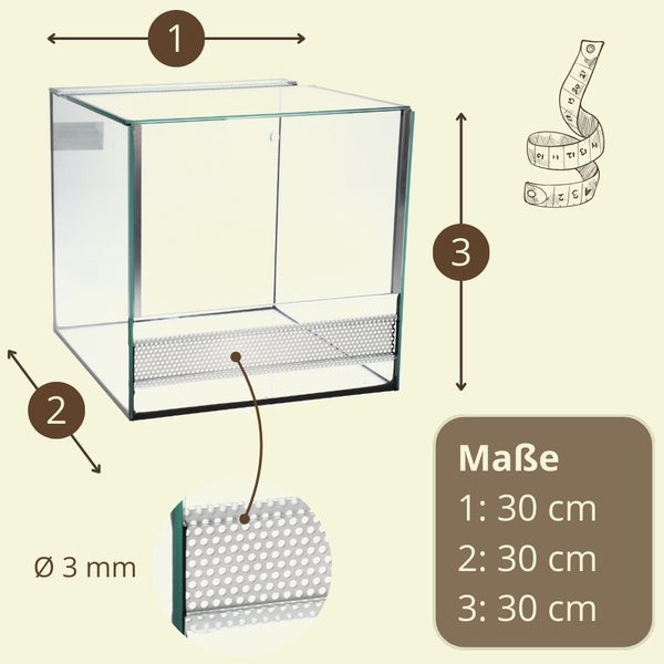 Glasterrarium mit den Maßen 30 cm x 30 cm x 30 cm.