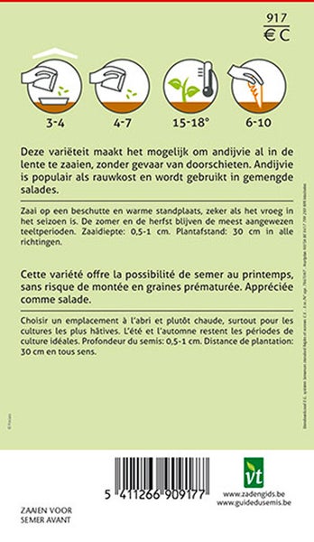 Informationen zum Anbau von Endiviensalat