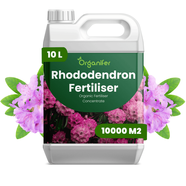 Organifer Rhododendrondünger, organisches Düngerkonzentrat, 10 Liter Kanister für bis zu 10000 Quadratmeter.