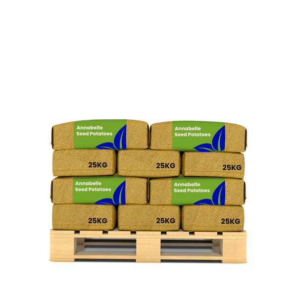 Nahaufnahme von Kartoffeln