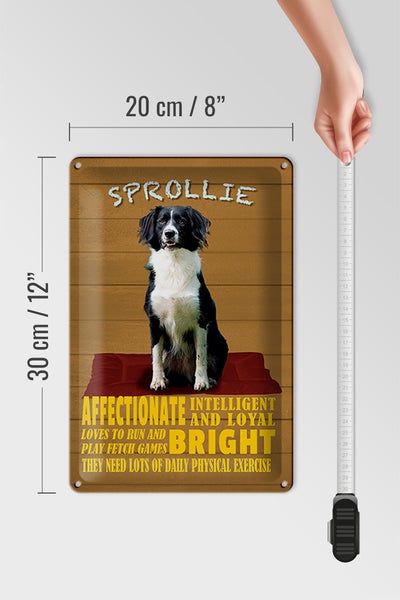 Blechschild Spruch 20x30cm Sprollie Hund intelligent loyal