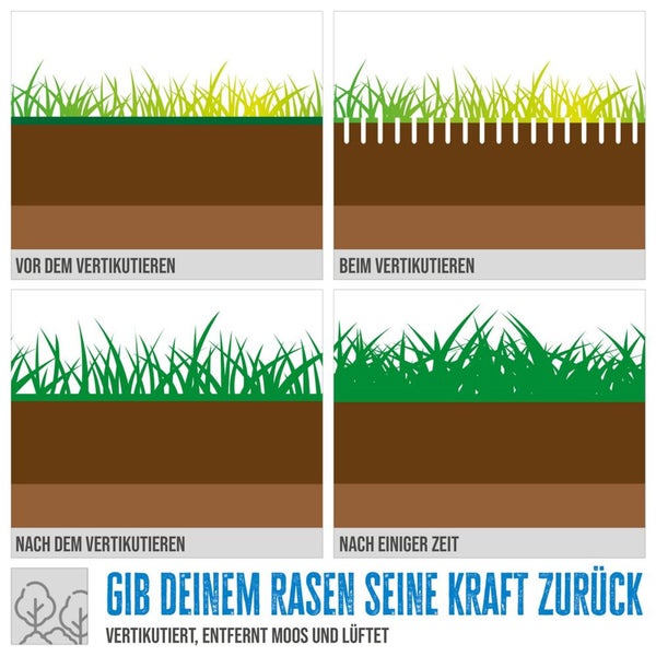 Infografik zum Prozess des Rasenvertikutierens: vor, während und nach der Anwendung sowie das Ergebnis für einen gesunden und kräftigen Rasen.
