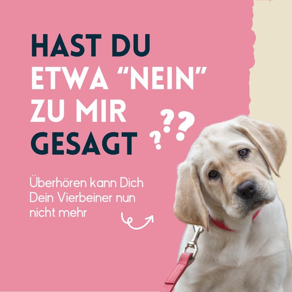 nimo® Ohrenreiniger • für Hunde, Katzen und Haustiere mit Aloe Vera und Panthenol
