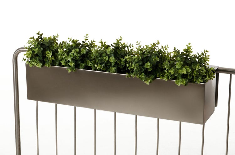 Rechteckiger Balkonkasten aus Metall an einem Geländer, bepflanzt mit kleinen grünen Blattpflanzen.