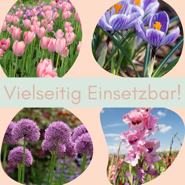Collage verschiedener Gartenblumen mit dem Text Vielseitig Einsetzbar!